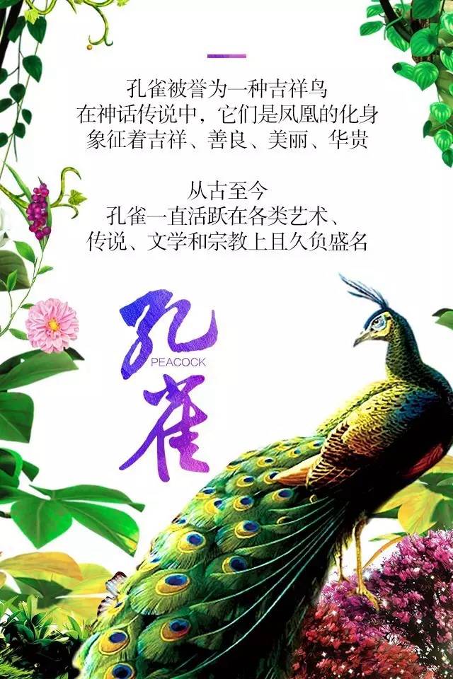 【915-918邵陽秋季車展】鳳臨枝頭，雀雀雀雀雀實驚艷！