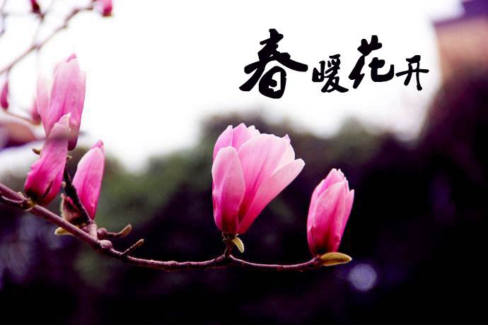 春暖花開(kāi) 教你春季如何做汽車(chē)保養(yǎng)！