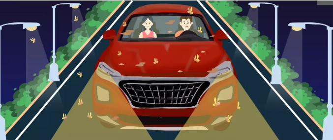 安全清除車身飛蟲，僅需十分鐘